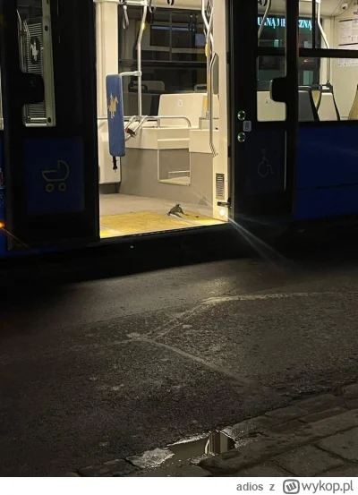 adios - @Warcomx: a mieliście tak jak my w Krakowie, że szyna przebiła podłogę tramwa...