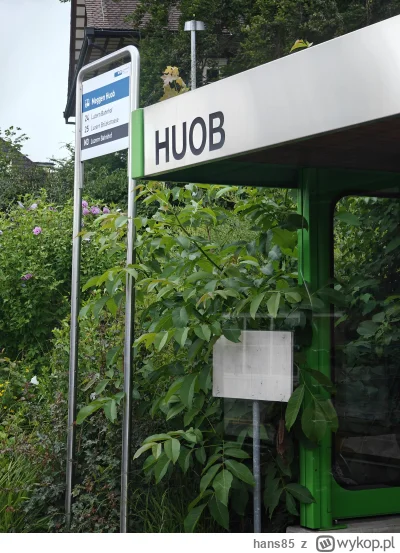 hans85 - jada se autobusem we obcym kraju a tu Pan Autobus mówi nagłe "OP" (ʘ‿ʘ)

#au...