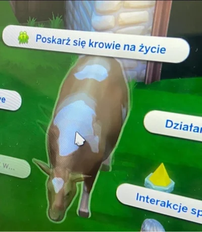 wybryk_natury - #zlodziejskiewybryki