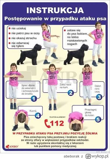 abeborak - Ludzie umierają
Zwierzęta zdychają

A jak to się ma do broni? 
życie człow...