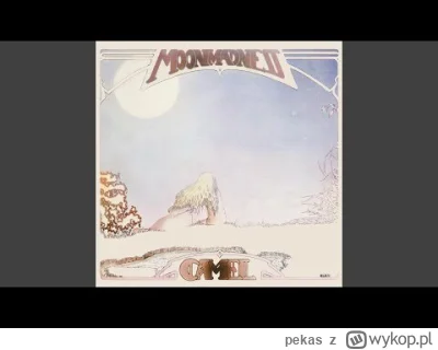 pekas - #camel #muzyka #rock #rockprogresywny #progressiverock #klasykmuzyczny
Cam...