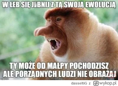 dasseltiG - #heheszki #humorobrazkowy