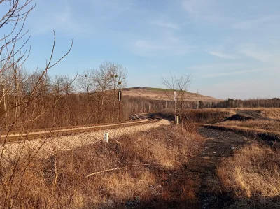 choochoomotherfucker - Dawno nie byłam tak zachwycona żadnym widokiem, do pełni szczę...