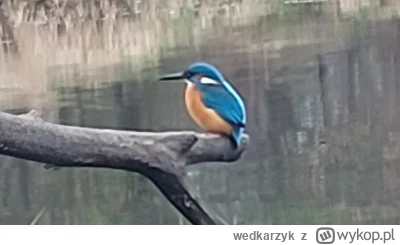 wedkarzyk - Karta opłacona. Lecę otworzyć sezon 2025! Ciekawe czy po takim strzelaniu...