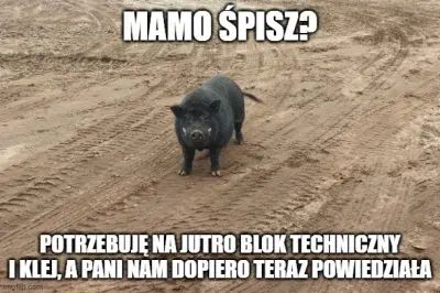 patoologiaa - #heheszki
#gimbynieznajo