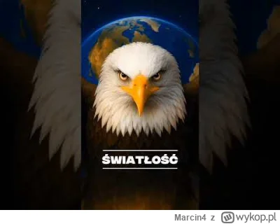 Marcin4 - Nocna zmiana.

#rewolucjatrwa #historia