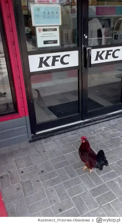 Kazimierz_Przerwa-Obiadowa - to wiele mówi o naszym spoleczeństwie