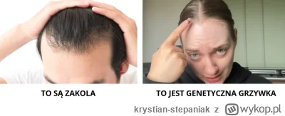 krystian-stepaniak - @ArchetypT: @styxu