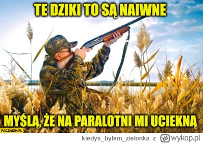 kiedysbylemzielonka - #heheszki #myslistwo