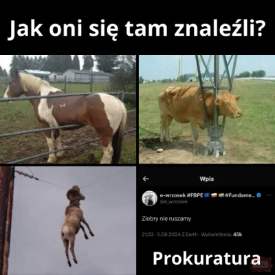 8azyl0v0 - #polityka