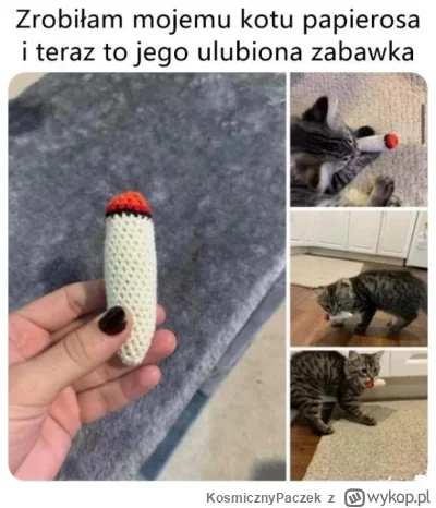 K.....k - #smiesznekotki #kitku #humorobrazkowy #heheszki