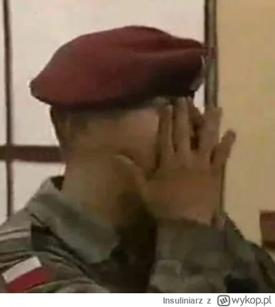 Insuliniarz - Jak wróżka to widzi XDDDDD 
#rolnikszukazony