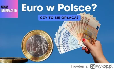 Troyden - W całej tej dyskusji na temat wprowadzenia euro nie brakuje abstrakcyjnych ...