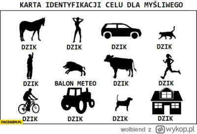 wolbiend - @kuzieem: Przecież to był balon meteorologiczny.