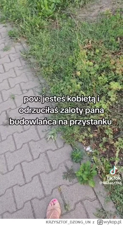 KRZYSZTOFDZONGUN - POSŁUCHAŁEM REDPILLAKÓW I POSTANOWIŁEM ZAGADAĆ DO LOSOWEJ KOBIETY ...