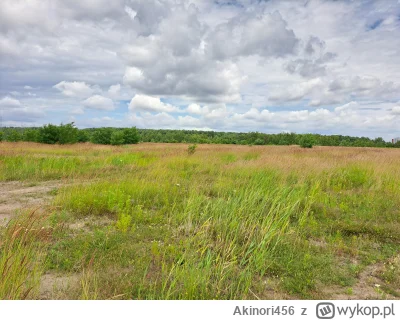 Akinori456 - Chodzę u siebie na takim "odludziu" i rozkminiam nad wczorajszym pomysłe...