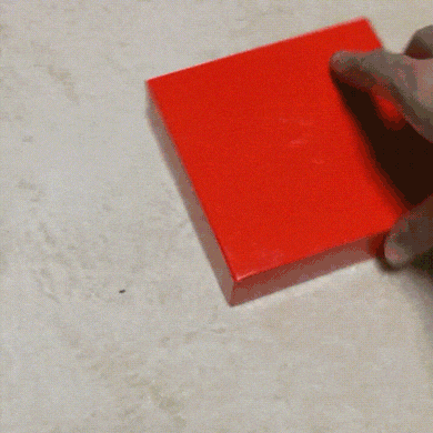 wfyokyga - Papug wariat zwariowany