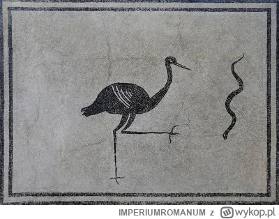 IMPERIUMROMANUM - Czarno-biała mozaika rzymska ukazująca bociana

Czarno-biała mozaik...