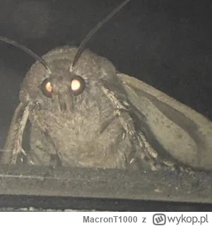 MacronT1000 - @wfyokyga: B-2 Spirit