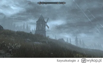 Szyszkalogin - #skyrszin