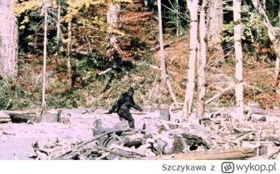 Szczykawa - @ninja5001: