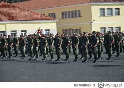 t.....k - @Hotdog_Konfa: Portuguese army pledging alligiance to the flag
