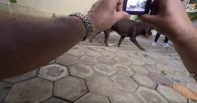 levzor - jako, że u klapka nic się nie dzieje, cały gniot to szwendanie się po obozie...