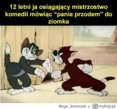 Mega_Smieszek - #heheszki #humorobrazkowy