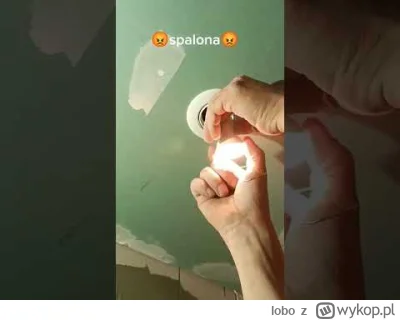 lobo - @stary_grat: https://www.youtube.com/shorts/eeYiJi8A8SI