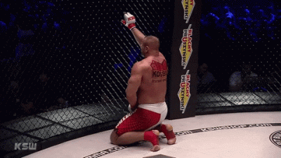 v.....l - @Frieza_Gold: