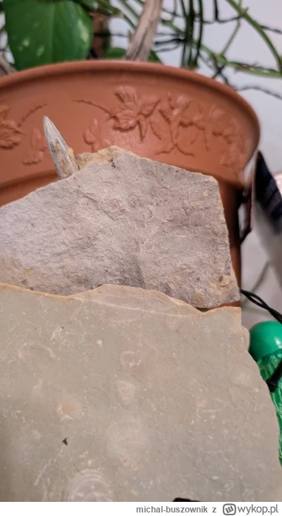 michal-buszownik - Mój znaleziony w Buttenheim ^^ będę robić z nich naszyjniki ;)