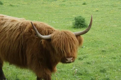 sablewski69 - @luccyfero: