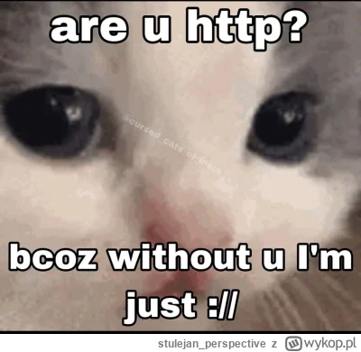 stulejan_perspective