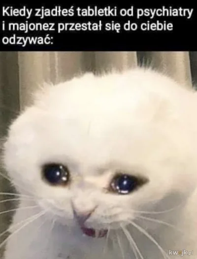 midnightwanderer - #przegryw