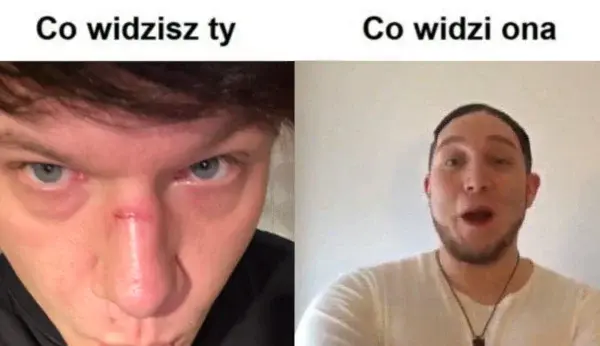 ElMurano - @nibynoozki: pewnie pdfa baxtona, on lubi zarabiać na takich psach, przydu...