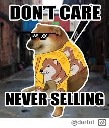 dartof - No i urus
#dogebonk #kryptowaluty #shitcoin