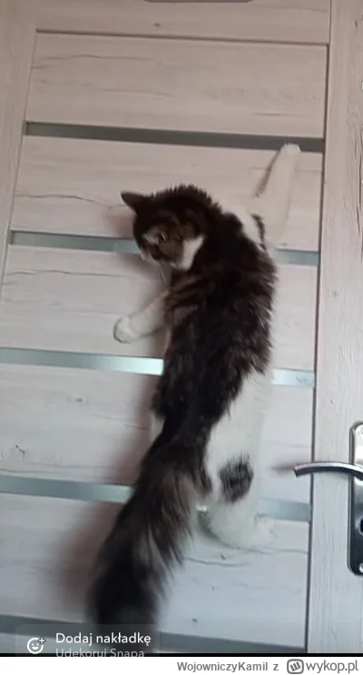 WojowniczyKamil - @RicoElectrico  widzę podobne hobby :D