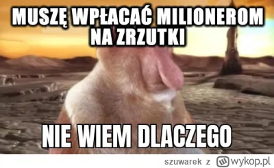 szuwarek - #radom #polska #airshow