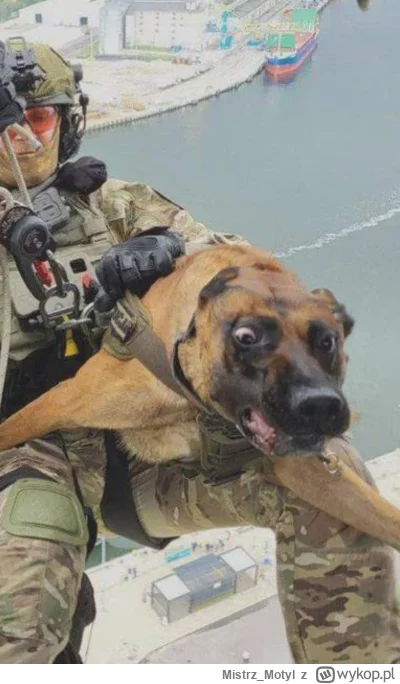 Mistrz_Motyl - Choć, będzie fajnie mówili…
#heheszki #humorobrazkowy