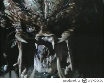 prodarek - #vhs, #nostalgia #zlotaeravhs #film #knapik #kasety

Predator 2 (1990) "u ...