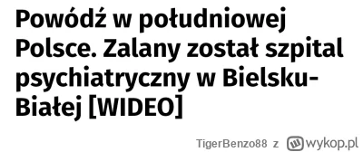 TigerBenzo88 - #kononowicz #patostreamy