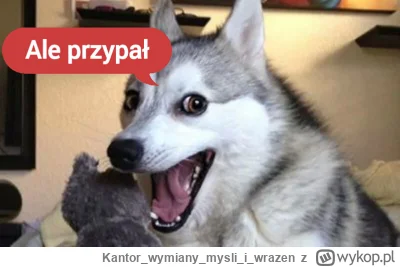 Kantorwymianymysliiwrazen - @TrzyGwiazdkiNaPagonie: Też dobrze świadczy, a co do mnie...