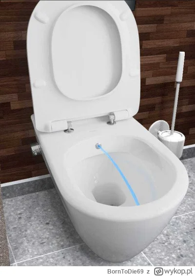 BornToDie69 - Ma ktoś toaletę z funkcją bidetu? Czy to dobre rozwiązanie, jakieś wady...
