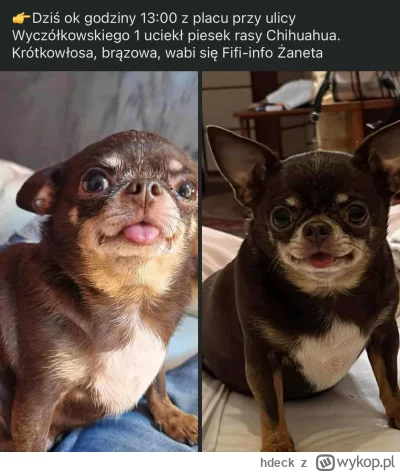 hdeck - @Konto4Czarnolisto: nowy gracz