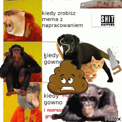 koneserprogresywnegodiscopolo - #konkursnanajbardziejgownianymemznosaczem 
pioter zes...