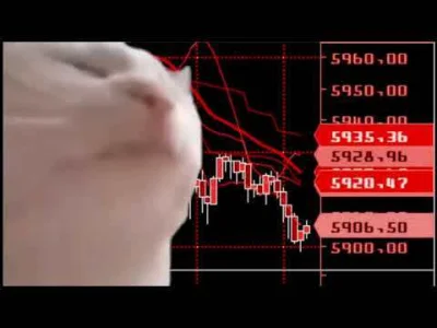 pikachu-pikachu-2137 - #kryptowaluty