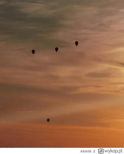 essos - Jak mozna by przerobić / wykadrować to zdjęcie, żeby lepej wyglądało?

#fotog...