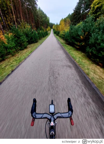 schneiper - 791 323 + 51 = 791 374

Klasyczna polska jesień. Oczywiście w polskich, s...