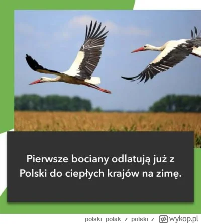 polskipolakz_polski - #pogoda #polska #zalesie #ciekawostki ja to sie im dziwie że w ...