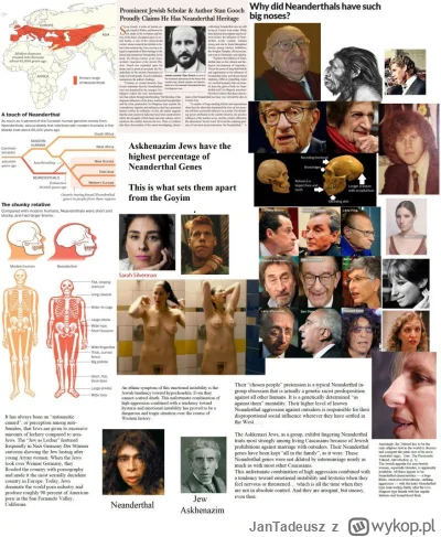 JanTadeusz - #neandertalczyk